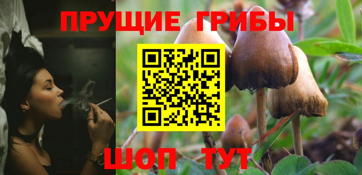 Галлюциногенные грибы Magic Shrooms  магазин  наркотиков  Трёхгорный  Вход с VPN 